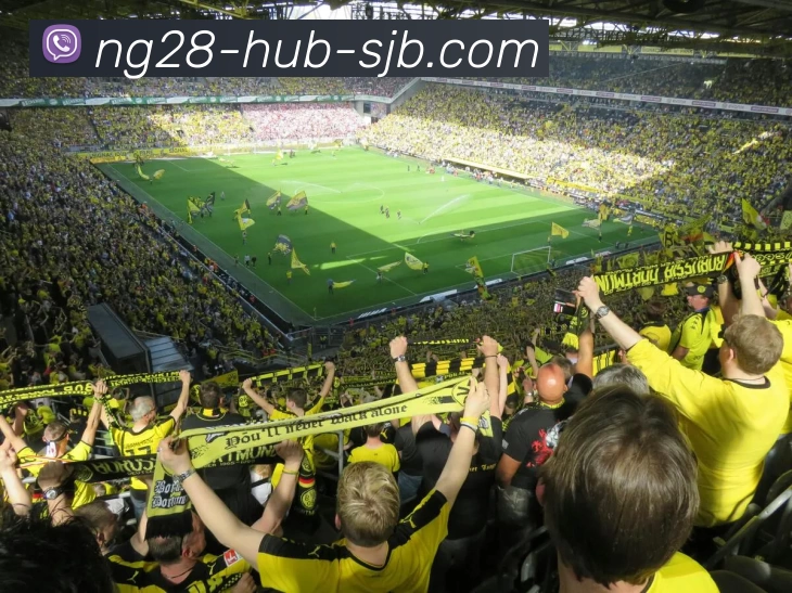 南宫28，南宫28官网，南宫28官方网站，南宫28入口，南宫28APP发展历程